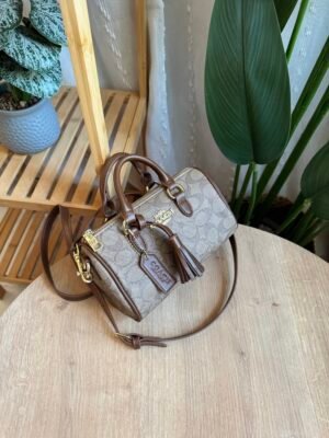 img_0699 حقيبة coach لون جوزي