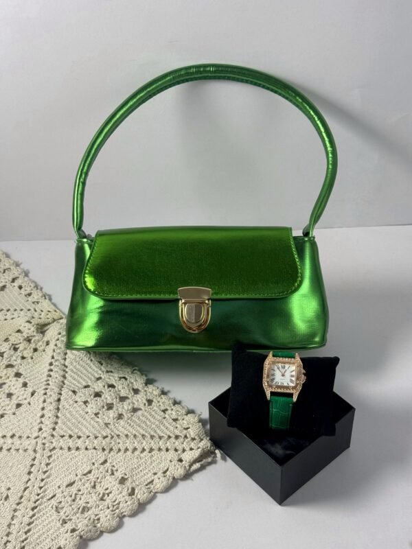 حقيبة لون اخضر