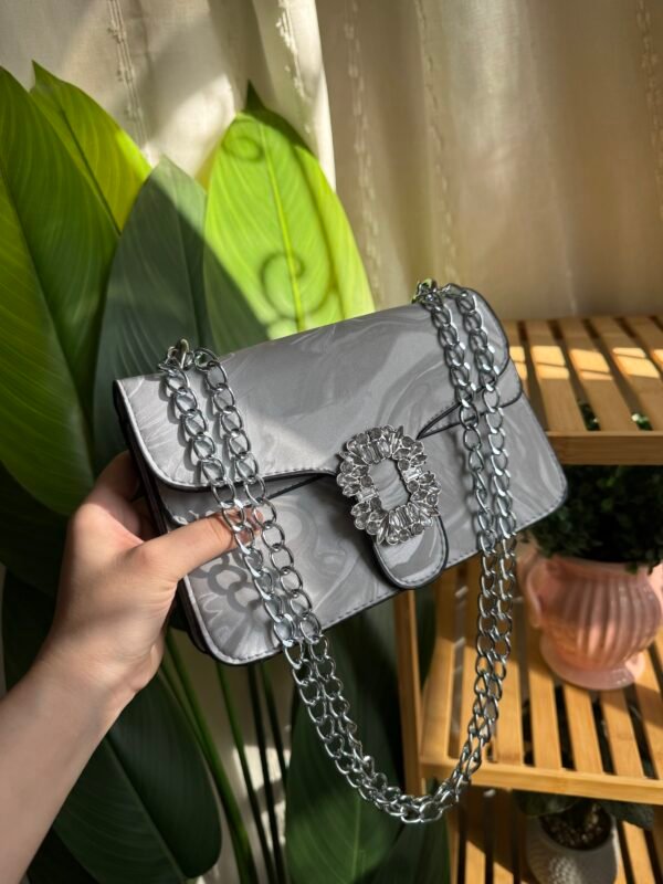 img_5378-2 حقيبة لون فضي