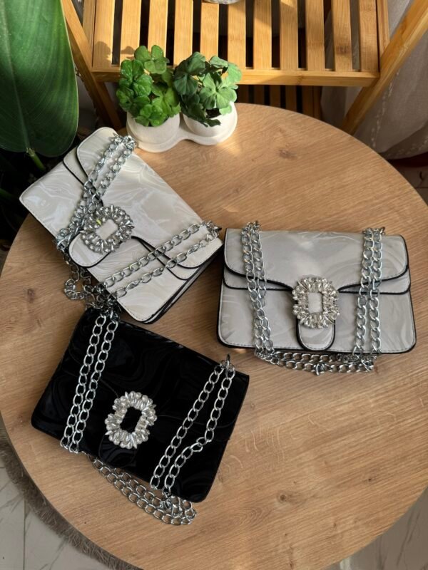 img_5391-3 حقيبة لون فضي